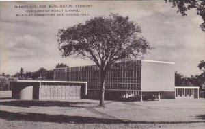 Vermont Burlington Trinity College Our Lady of Mercy Chapel Artvue