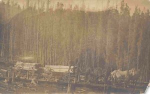 Logging Wagon Teams on Wooden Road Colorado? Real Photo postcard