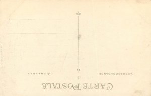 Seagull is Weighed Down by Souvenir Postcard Views of Morlaix Brittany France