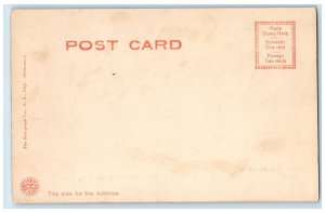 c1905 The Rustic Bridge & Pond Hemlock Gorge View Newton Upper Falls MA Postcard 