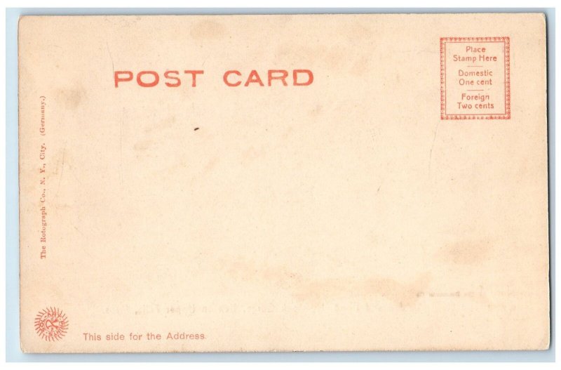 c1905 The Rustic Bridge & Pond Hemlock Gorge View Newton Upper Falls MA Postcard 