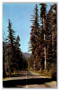 Natches Pass Highway In Autumn Washington WA UNP Chrome Postcard Z1