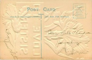 Love to Sister Embossed Hand Colored Postcard