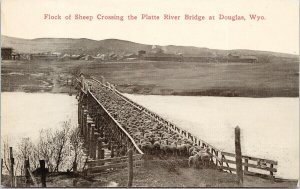 Douglas WY Sheep Platte River Bridge Unused Postcard F34