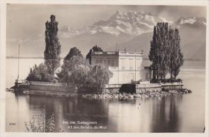 Switzerland Ile de Salagnon et les Dents du Midi 1924 Photo