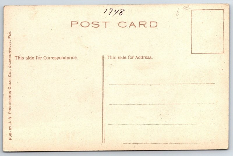 Jacksonville Florida~Artesian Fountain Waterworks~Gardener @ Flower Bed~c1910