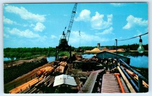 DIBOLL Texas TX~ Log Crane SOUTHERN PINE LUMBER COMPANY Angelina County Postcard