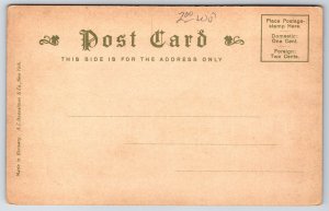 Winthrop Massachusetts~View Down Crest Avenue~Homes Inns Cottages~c1905