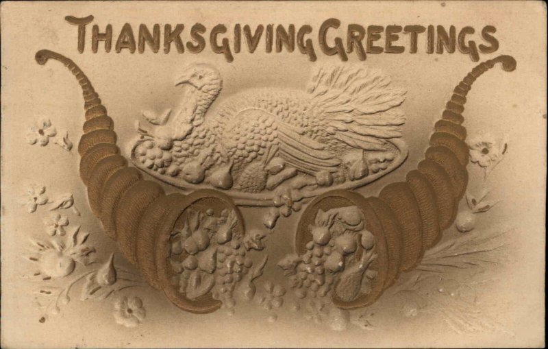 Thanksgiving Turkey Cornucopia Embossed Airbrushed c1910 Postcard