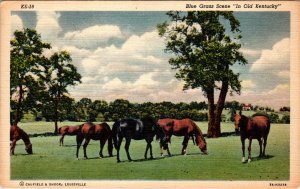 Horses Kentucky BIN