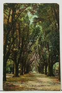 Savannah Ga Hermitage Ave Trees 1 1/4 Mile 1907 to Ashbury Park NJ Postcard I11
