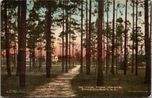 Postcard NC Moore County Pinehurst In the Pine Grove Hand Colored 1917 H24