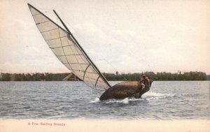 Vintage Postcard 1910's A Fine Sailing Breeze Ocean Adventure Koelling & Klappen