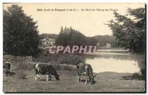 Old Postcard Paimpont Foret Au Bord de L'Etang Des Forges Cows