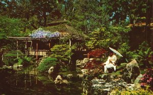 Vintage Postcard Japanese Tea Golden Gate Park Garden San Francisco CA