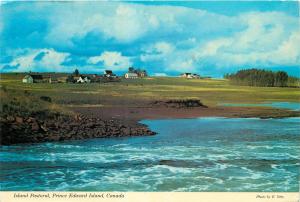 Island Pastoral Prince Edward Island Canada Postcard