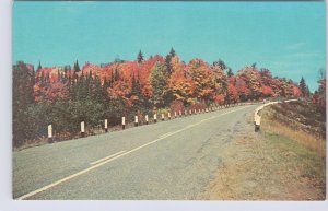 Fall Colours, Chapleau Highway North Of Thessalon, Ontario, Vintage Postcard