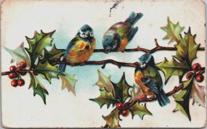 Merry Christmas Cute Birds Vintage Postcard C175