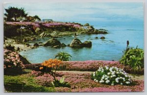 Postcard Pacific Grove California CA Ocean View Boulevard  Flowers 1980s