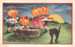 326041-Halloween, Whitney No WNY21-1, JOL Head Children Bob for Apples,Black Cat