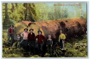 c1950's Twin Giants In An Oregon Forest Lumberjacks Loggers Grove OR Postcard