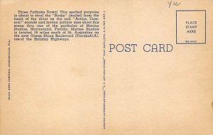 Marine Studios Ocean Floor Photographer Marineland FL