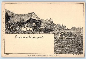 Germany Postcard Greetings from the Schwarzwald Animal in Farm c1905