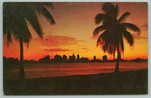 Miami Florida~Skyline Of City At Sunset~Vintage Postcard