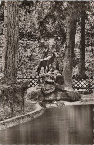 Real Photo Postcard~Statue @ Wolfsbrunnen Restaurant Heidelberg Germany~RPPC