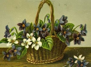 c.1880s Electra Laundry Soap  Lustro Wicker Basket Flowers