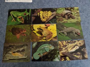 Lot 9 Unused Animals Frogs Turtles Snakes Postcrossing 4x6 MINT postcard L159