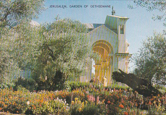 Israel Jerusalem Garden of Gethsemane