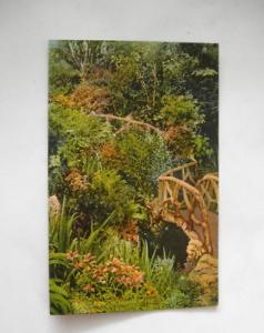 OAKLAND CA-RUSTIC BRIDGE SCHILLINGS GARDEN-EDW. MITCHEL