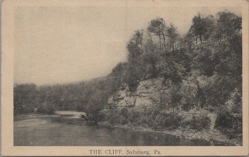 Postcard The Cliff Saltsburg PA