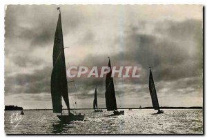 Modern Postcard Arcachon Contre Jour on Yacht Regattas