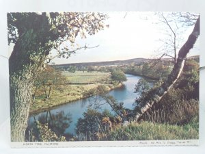 North Tyne Falstone Northumberland Vintage Postcard 1980s