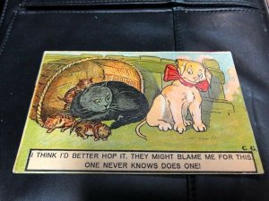 c.'09, Dog,, Black Cat and Kittens, Humor, Early Color Printed,Old Postcard