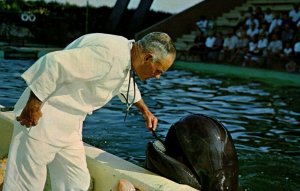 USA Doctor Brushes Teeth Or Trained Whale Marineland Of Florida Chrome 08.94