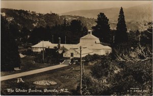 PC NEW ZEALAND, DUNEDIN, WINTER GARDENS, Vintage REAL PHOTO Postcard (B41470)