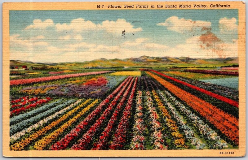 Santa Maria Valley, California CA, 1947 Flower Seed Farms, Vintage Postcard