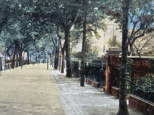 Leicester THE NEW WALK c1907 Postcard