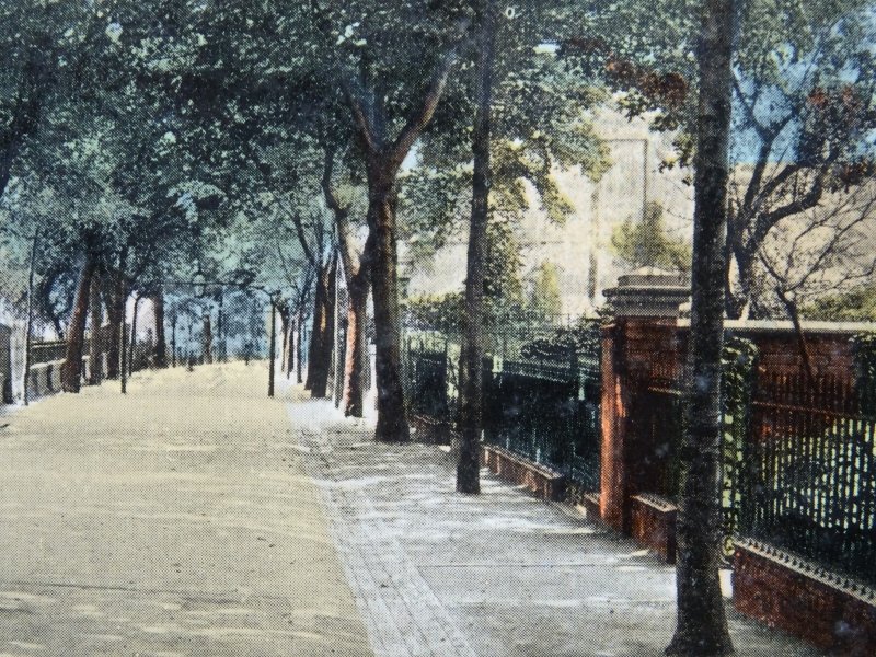 Leicester THE NEW WALK c1907 Postcard