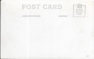 RPPC: Water Buffalo Plowing Rice Patch, Oahu, Hawaii, mint (PC1830)