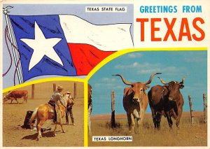 Greetings From Greetings From, The Lone Star State Texas