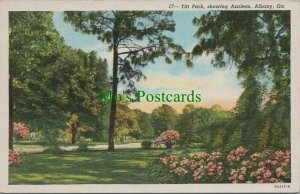 America Postcard - Tift Park, Showing Azaleas, Albany, Georgia  RS25194