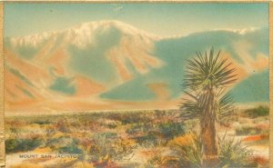 California 1920s Palm Springs Hand colored Mount Jacinto Postcard 21-10960