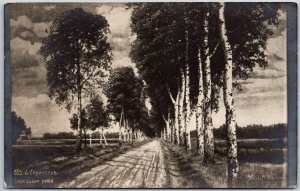 Pathway Lined Trees Roadway Artist Signed Black and White Antique Postcard