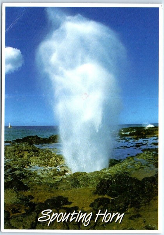 Postcard - Spouting Horn - Hawaii