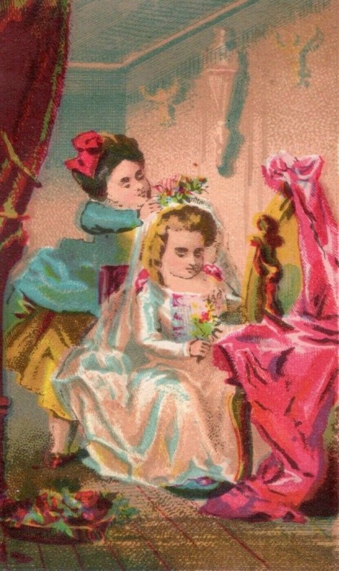 1883 Prof. Beaumont's Grand Diorama Wilson Opera House Victorian Trade Card P140
