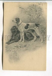 485577 Germany Schmitzberger Pointer and Setter hunting dogs Graslitz RPPC